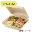 HEIKO 食品容器 バンブーペーパーウエア フードパック 3仕切り BFD3-22 20枚